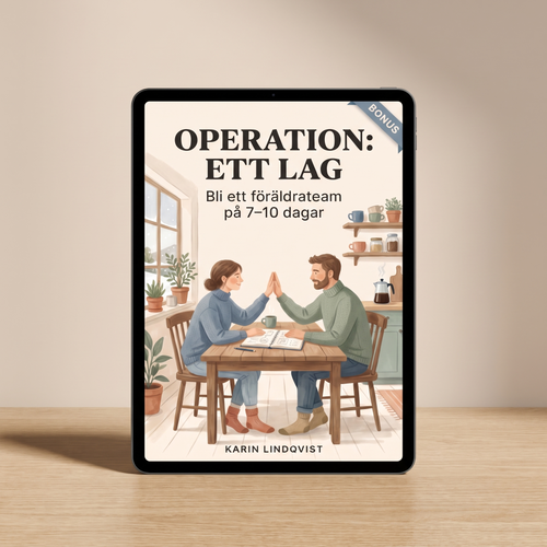Bonus-e-boken Operation: Ett lag på surfplatta